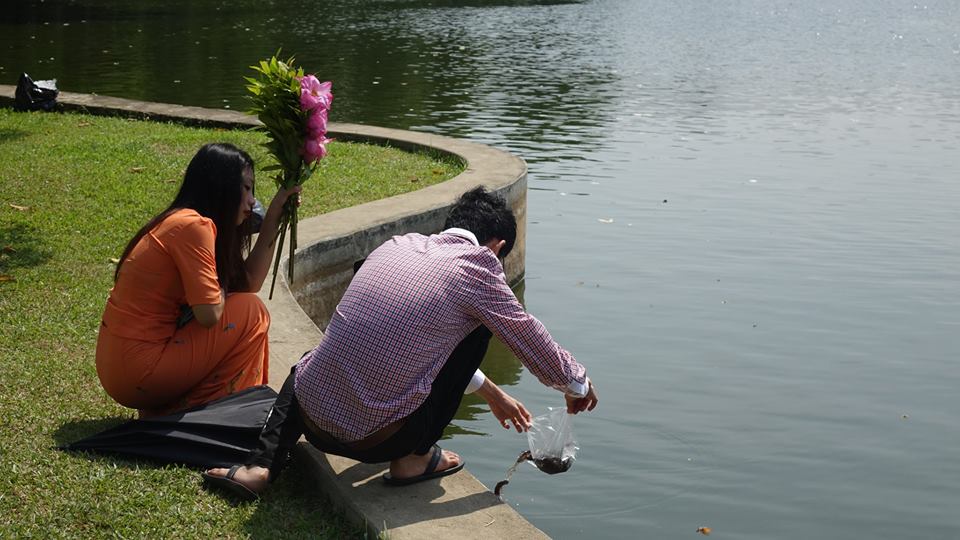 ေသြးေဆးကန္အတြင္း ငါးလႊတ္၊ ငွက္လႊတ္ ကုသုိလ္ျပဳ