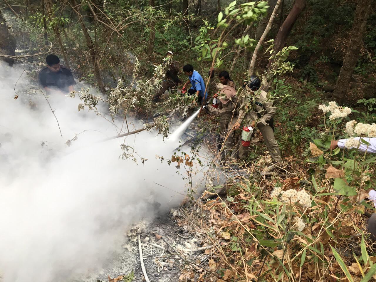 ၄၄ နာရီခန္႔ၾကာ ေလာင္ကၽြမ္းခဲ့သည့္ ပုပၸါးေတာင္ ေတာမီး ၿငိႇမ္းသတ္ႏိုင္ၿပီ