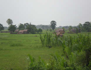ဧက ရာနွင့္ခ်ီသိမ္းထားသည့္ လယ္ကိစၥကို ဦးသိန္းစိန္ထံ တင္ျပမည္