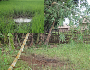 အက္စ္အက္စ္ေအနွင့္ အစုိးရတပ္ တုိက္ပြဲ၊ ႐ြာကိုလက္နက္ၾကီးက်ည္သင့္