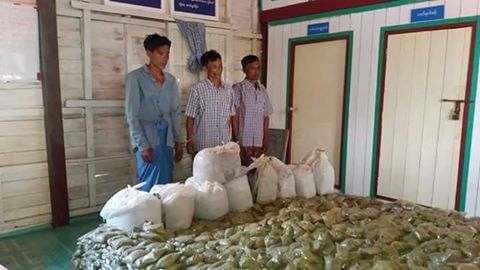 ကၽြန္းစု ေရပိုင္နက္အတြင္း ဘိန္းစာမႈန္႔ ဆာလာအိတ္ျဖင့္ အထုပ္ ၄၀ ေက်ာ္ဖမ္းမိ