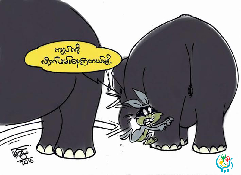 ကာတြန္း - မုိးသြင္