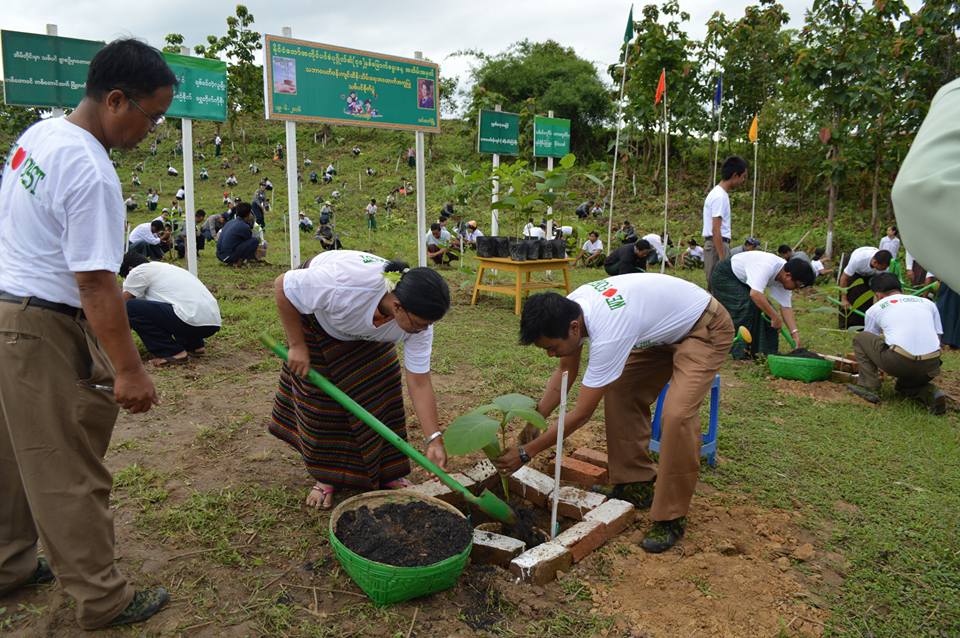 ေဒၚေအာင္ဆန္းစုၾကည္ေမြးေန႔ အင္းေတာ္တြင္ သစ္ပင္စုိက္ပြဲျပဳလုပ္