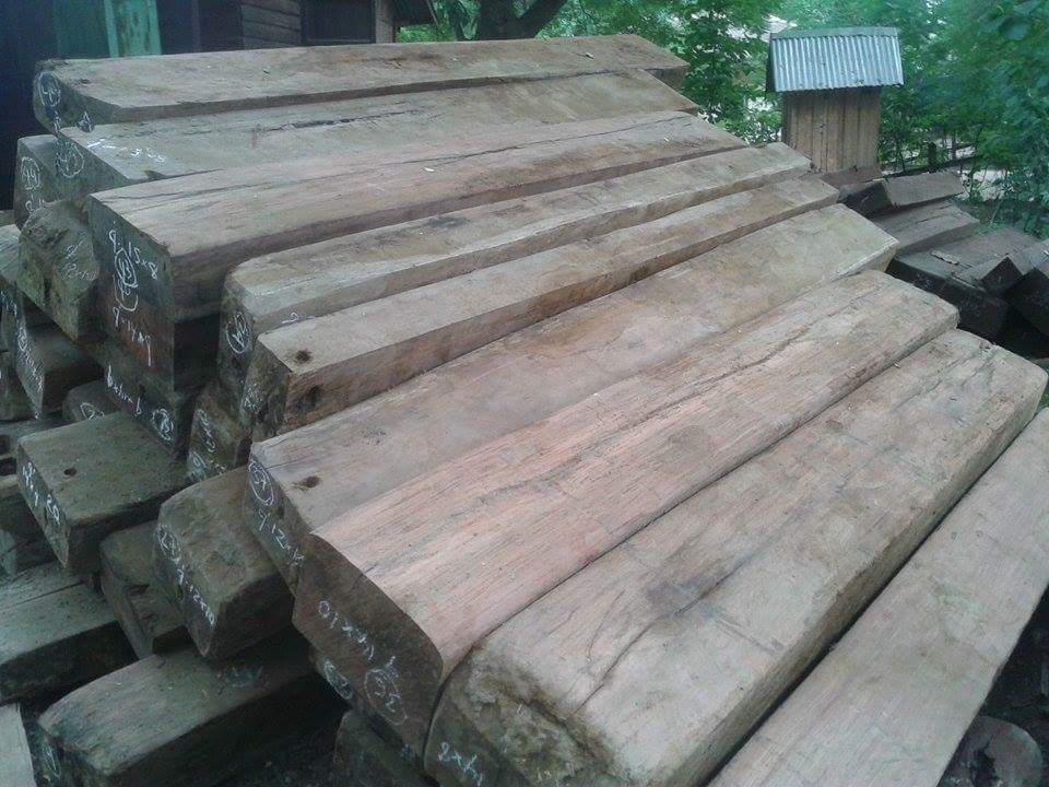 ယင္းမာပင္ၿမိဳ႕နယ္တြင္ ပိုင္ရွင္မဲ့သစ္မ်ား ဖမ္းဆီးရမိ