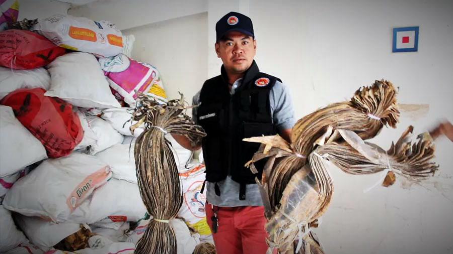 ထိုင္းႏိုင္ငံတြင္ ေႁမြအေရခြံ ၅ သိန္းေက်ာ္ ဖမ္းဆီးရမိ