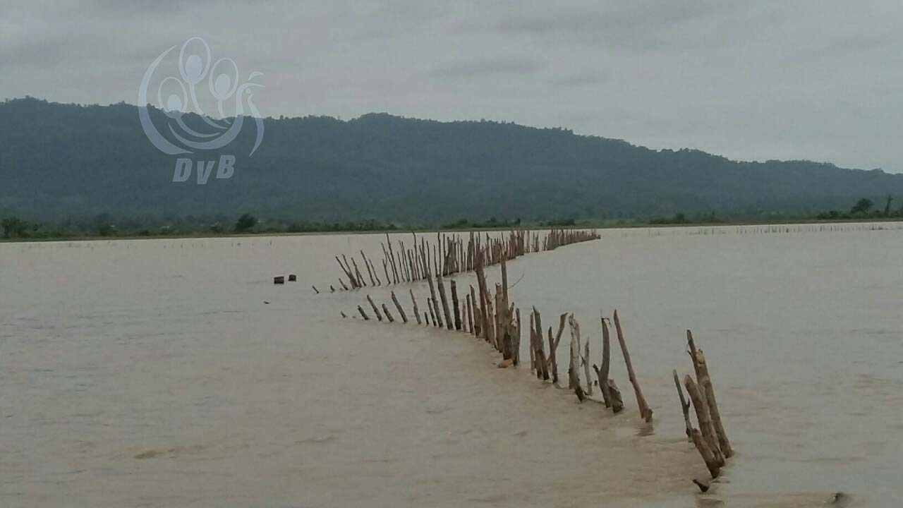 ခ်င္းတြင္းျမစ္ေရျမင့္တက္မႈေၾကာင့္ ကနီၿမိဳ႕နယ္အတြင္းရွိ သီးႏွံစိုက္ခင္းမ်ား ပ်က္စီး
