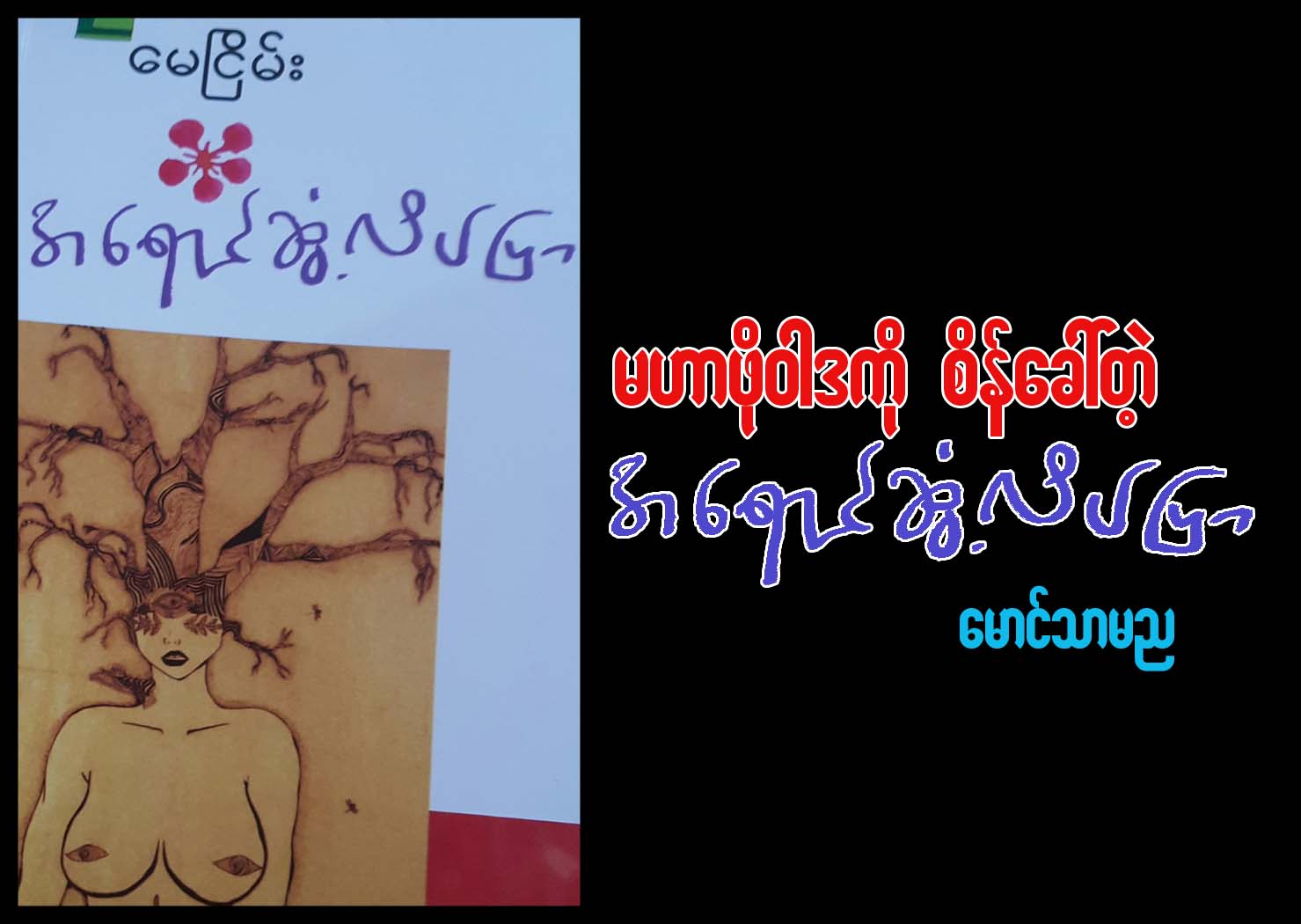 မဟာဖို၀ါဒကို စိန္ေခၚတဲ့ အေရာင္ဆြံ႔လိပ္ျပာ