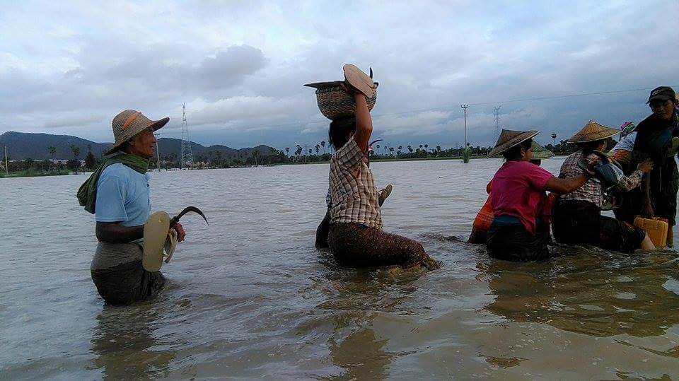 လက္ပံေတာင္းေဒသ ေက်းရြာတခ်ိဳ႕ ခ်င္းတြင္းျမစ္ေရျမင့္တက္မႈေၾကာင့္ အိမ္ေျခမ်ား ေျပာင္းေရႊ႕