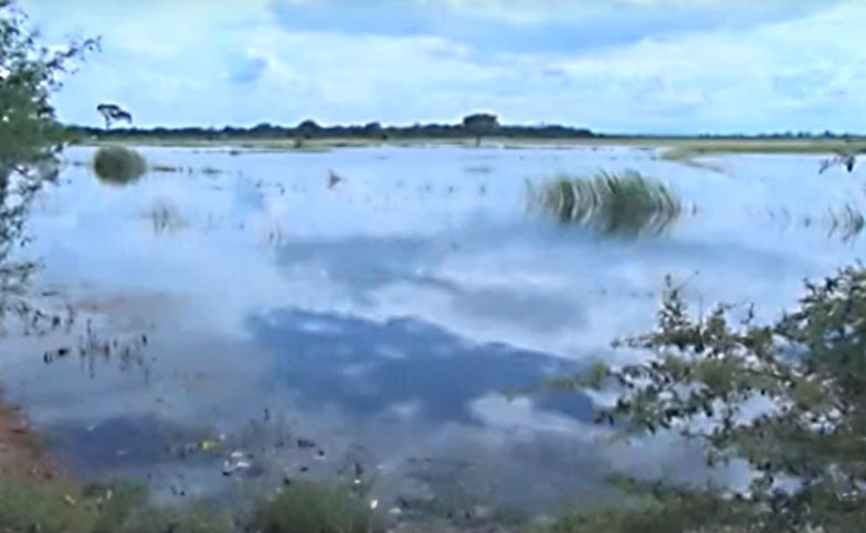 ဧရာ၀တီ ျမစ္ေရတိုး၍ ပြင့္ျဖဴၿမိဳ႕နယ္ရွိ ေက်းရြာအခ်ဳိ႕ စိုက္ခင္းမ်ား ပ်က္စီးဆံုး႐ံႈး