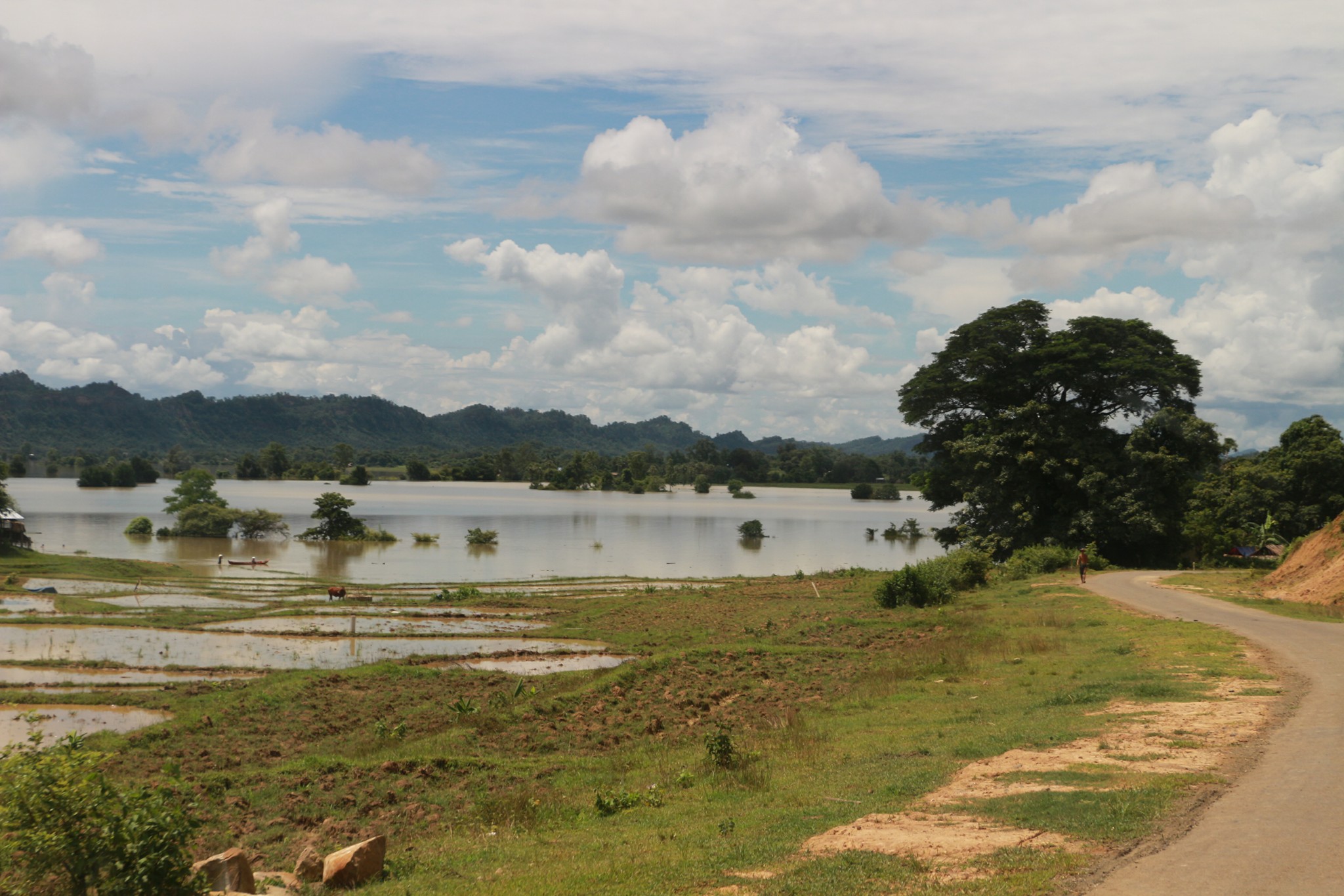 ကေလးခ႐ုိင္အတြင္း လယ္ဧက ၁၆၀၀ ေက်ာ္ ေရလႊမ္းခံရ