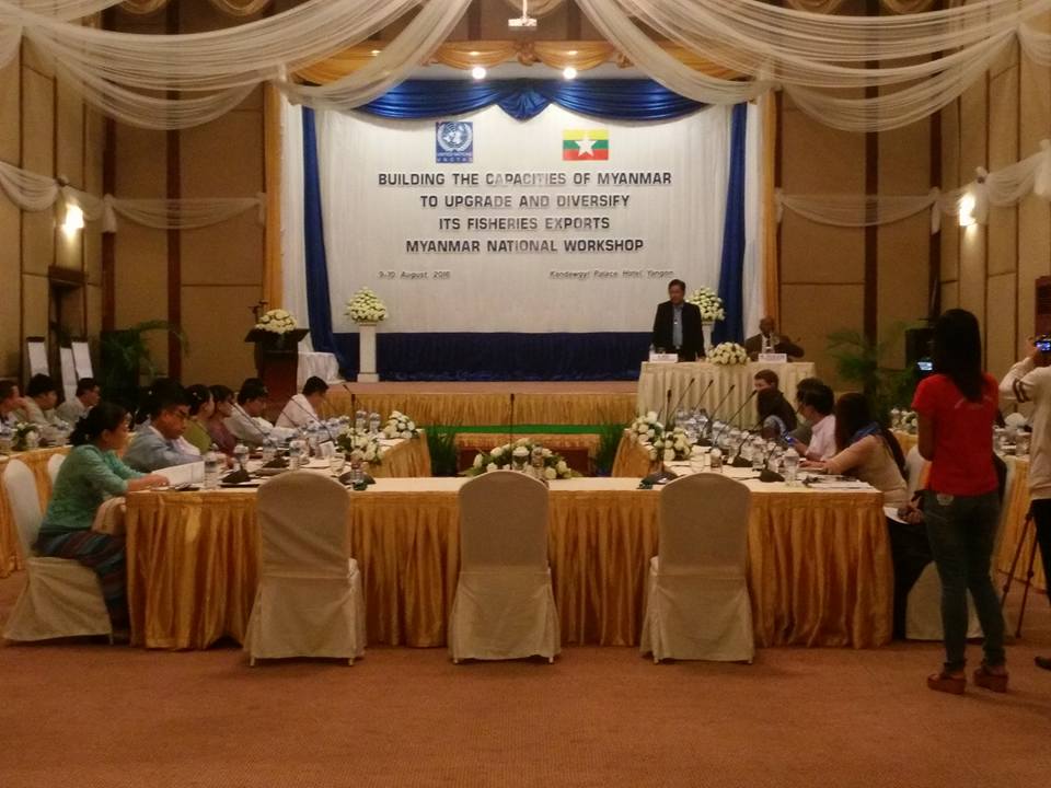 ငါးလုပ္ငန္းက႑ပို႔ကုန္ျမႇင့္တင္ေရးအတြက္ စြမ္းေဆာင္ရည္ျမႇင့္တင္ေရးဆိုင္ရာ ေဆြးေႏြးပြဲ ျပဳလုပ္