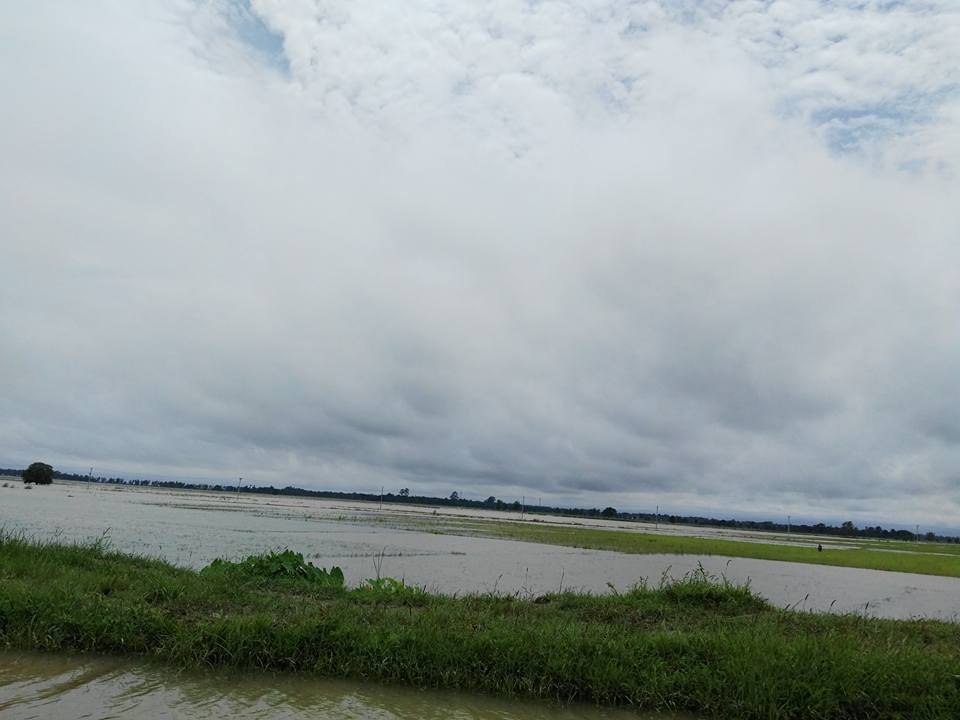 အဂၤပူၿမိဳ႕နယ္တြင္ လယ္ေျမဧက ၁၈၀၀ ေက်ာ္ ေရနစ္ျမဳပ္