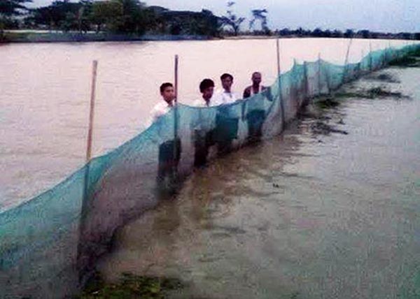 ေညာင္တုန္းတြင္ ငါးေမြးကန္ဧက ၁၇၀၀ ခန္႔ ေရႀကီးနစ္ျမဳပ္