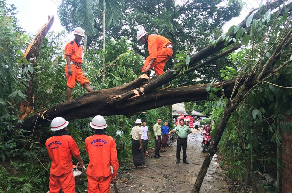 ၿမိတ္တြင္ မိုးသက္ေလျပင္းတိုက္ခတ္မႈေၾကာင့္ သစ္ပင္ႀကီးတခ်ိဳ႕ၿပိဳလွဲ