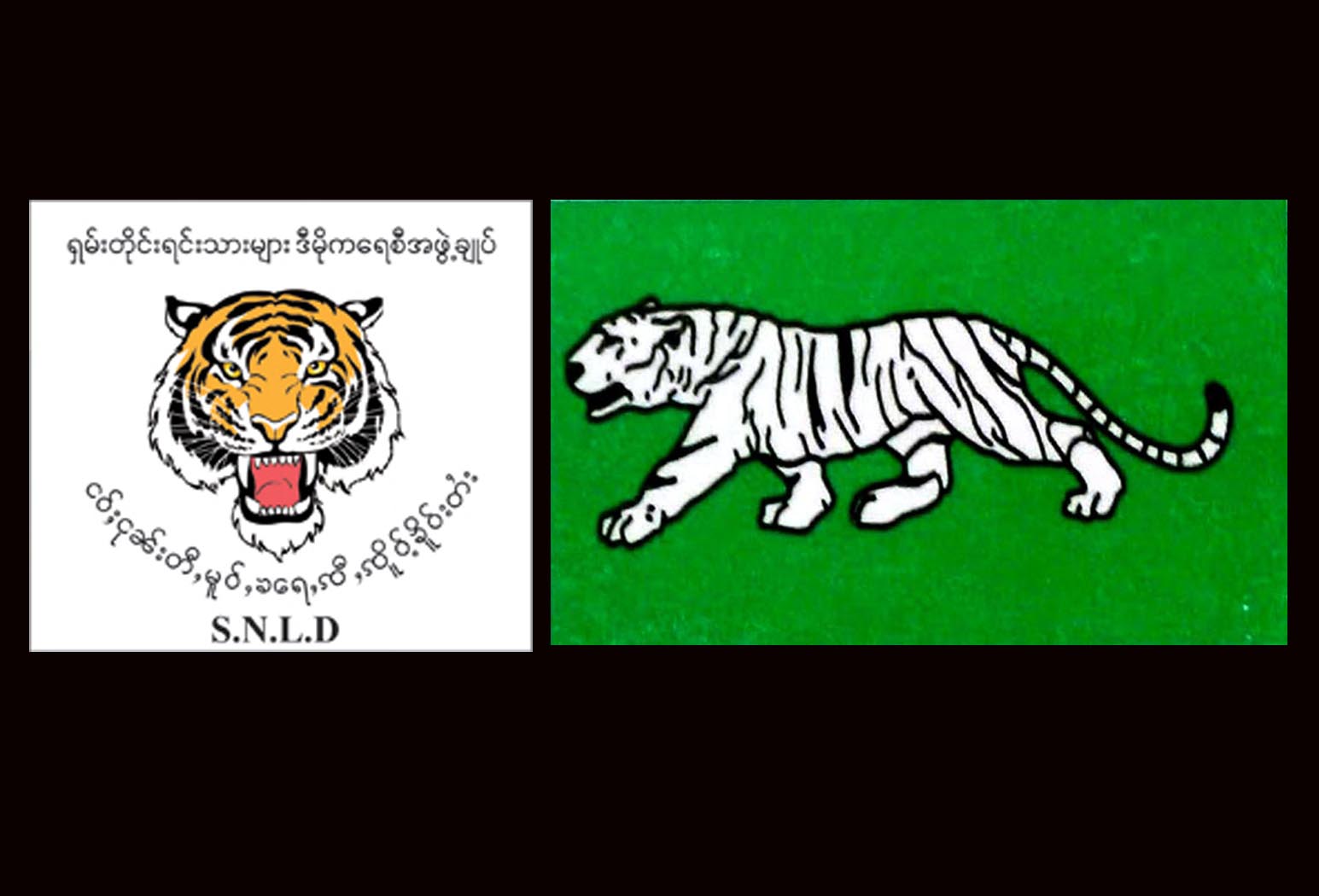ၾကားျဖတ္ေရြးေကာက္ပြဲတြင္ က်ားေခါင္းေရာ က်ားျဖဴပါ ဝင္ၿပိဳင္မည္