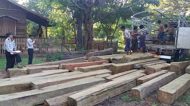 သိန္း၂၅၀ ေက်ာ္ဖိုးရွိ တရားမဝင္သစ္မ်ား ေက်ာက္ပန္းေတာင္းတြင္ဖမ္းမိ
