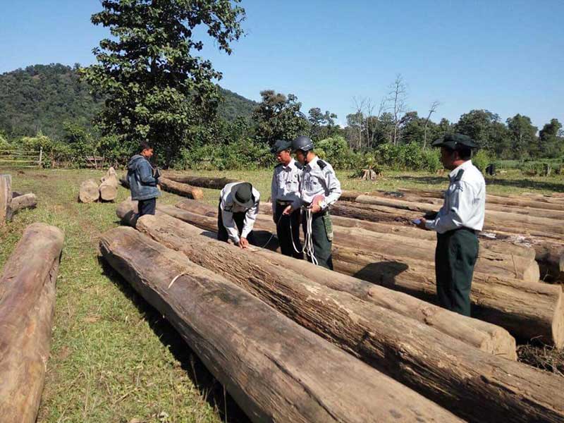 ဗန္းေမာက္ၿမိဳ႕နယ္တြင္ တရားမဝင္ သစ္မ်ား ဖမ္းမိ