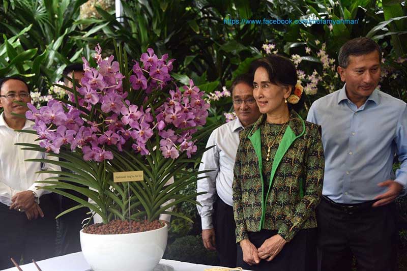 စင္ကာပူက ဂုဏ္ျပဳေခၚဆုိခဲ့သည့္ “ပါပီလီ႐ုိနႏၵေအာင္ဆန္းစုၾကည္” သစ္ခြပန္း
