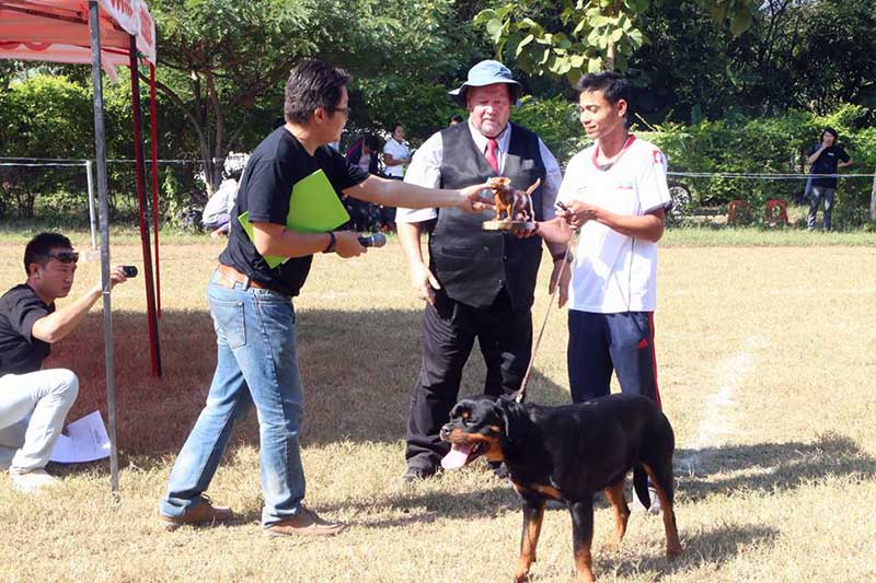 ေရာ့ဝိုင္လာေခြးမ်ိဳး သီးသန္႔ၿပဳိင္ပြဲ ပထမဆုံး က်င္းပ (ဓာတ္ပုံ)