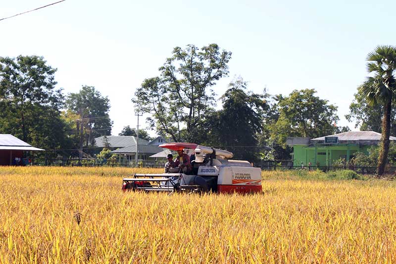 လယ္ယာက႑ဖြံ႔ၿဖိဳးတိုးတက္ေရး ႏိုင္ငံတကာေခ်းေငြ ေဒၚလာသန္း ၂၆၀ ေက်ာ္ ရရွိထား