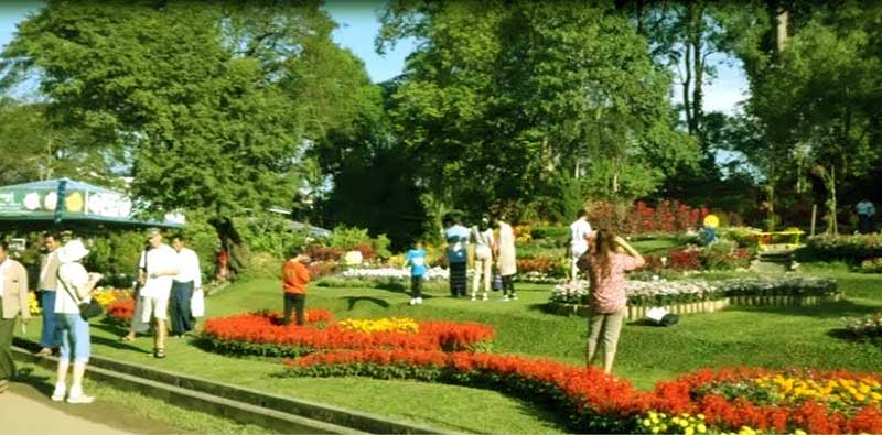 ဟင္းသီးဟင္းရြက္ႏွင့္အလွပန္းပင္ ပြဲေတာ္ က်င္းပ