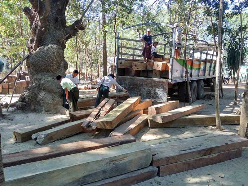သာယာ၀တီၿမိဳ႕နယ္တြင္ တရားမ၀င္ ပိေတာက္သစ္တံုးမ်ား ဖမ္းမိ