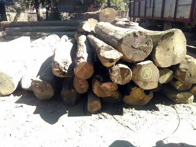 မံုရြာၿမိဳ႕တြင္ တရက္တည္း တရားမဝင္သစ္ က်ပ္သိန္း ၁၀၀ ေက်ာ္ဖိုး ဖမ္းမိ