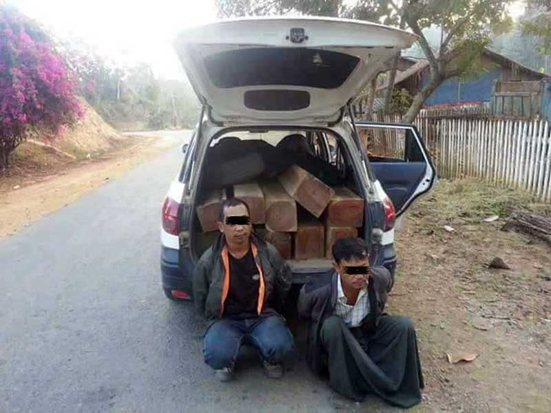 ပင္လည္ဘူးတြင္ တရားမ၀င္ တမလန္းသစ္မ်ား ဖမ္းမိ