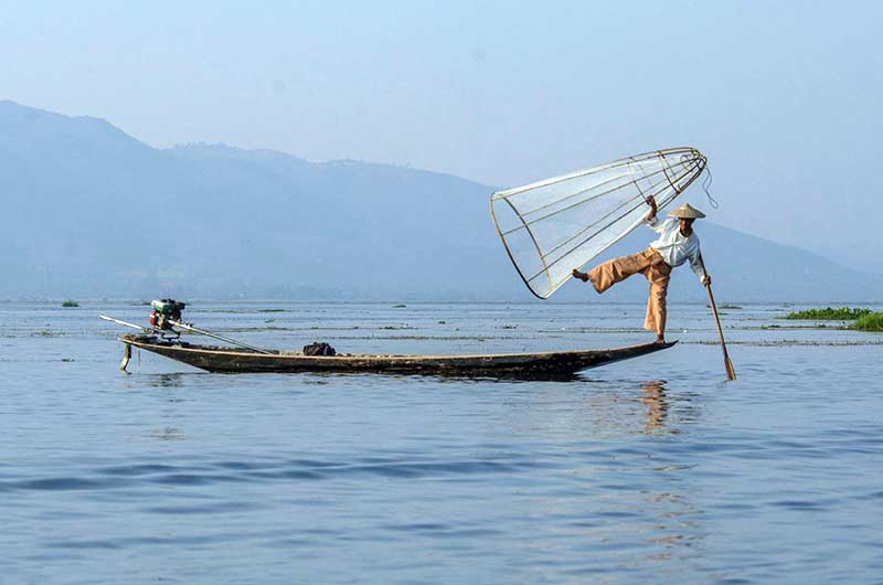 အင္းေလးကန္အတြင္း ၀မ္းစာအတြက္ ႐ုန္းကန္ေနသူမ်ား (ဓာတ္ပံု)