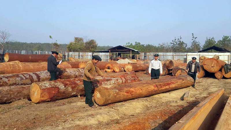 ျမစ္ႀကီးနား စြန္ပရာဘြန္လမ္းတြင္ တရားမ၀င္သစ္ ၂၉၅ တန္ ဖမ္းမိ