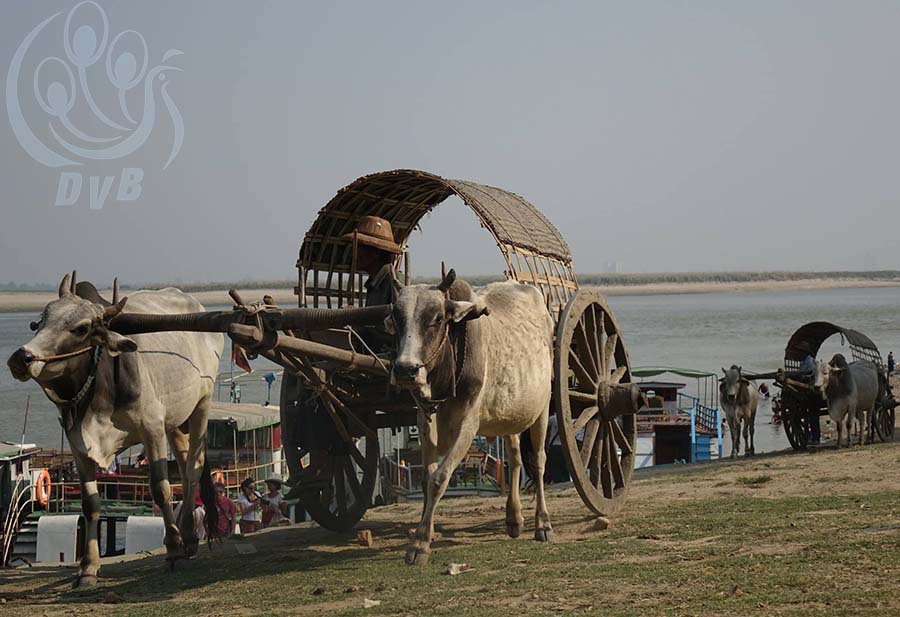 မင္းကြန္းေခါင္းေလာင္းႏွင့္ ပုထိုးေတာ္ႀကီးကို အမွီျပဳၿပီး ဝမ္းစာရွာေနၾကရသည့္ဘဝမ်ား (ဓာတ္ပံု)