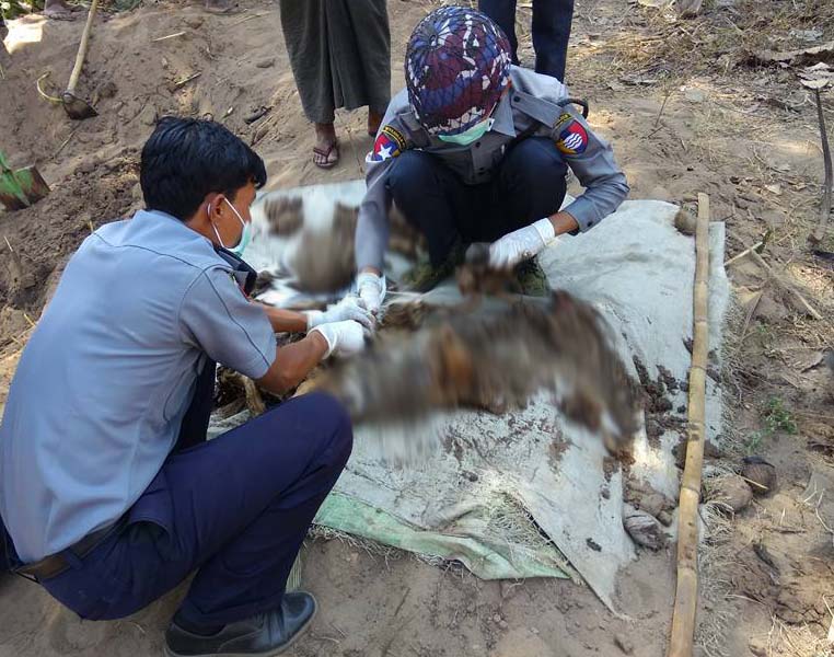 ၃ လေက်ာ္ၾကာ လူသတ္အေလာင္းေဖ်ာက္မႈ၊ လူေသအေလာင္းအား အာဏာပိုင္မ်ား ျပန္ေဖာ္