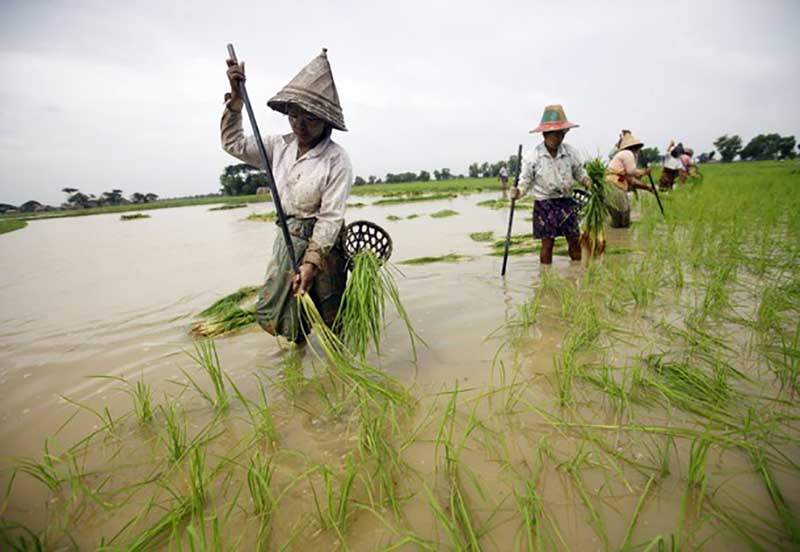 လယ္ယာေျမ ျပဳျပင္သည့္လုပ္ငန္းမ်ားကို ၃ ႏွစ္ အရစ္က်စနစ္ျဖင့္ ေဆာင္ရြက္ေပးမည္