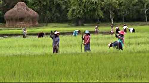 လယ္သမားမ်ားကို အေပါင္ပစၥည္းမပါဘဲ ေငြထုတ္ေခ်းရန္ ေတာင္းဆို