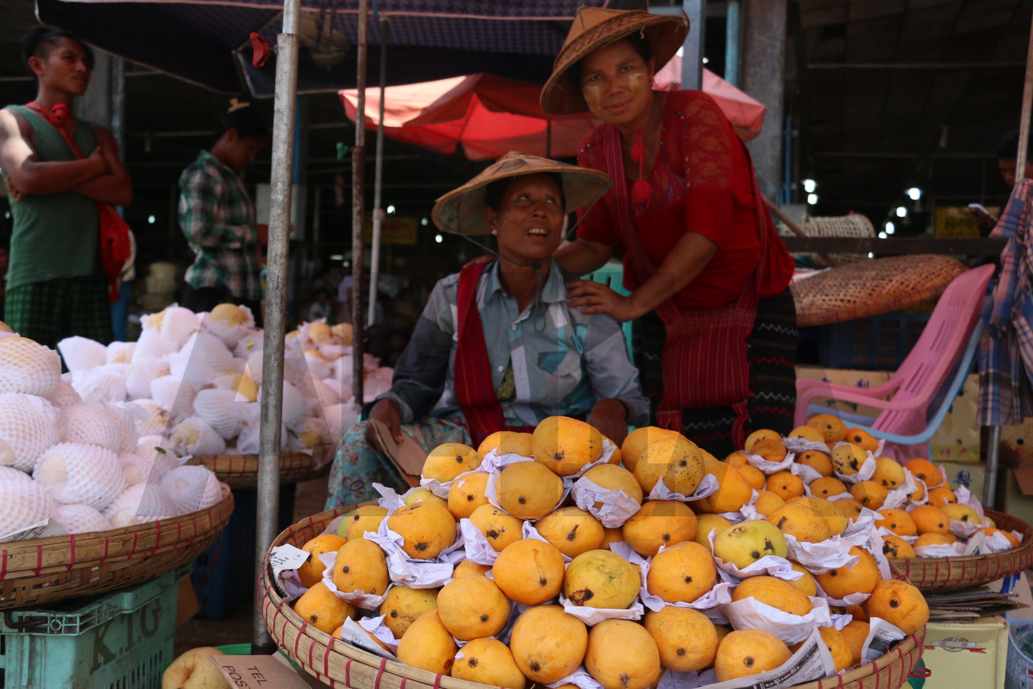 ျမန္မာ့သရက္ ျပည္ပေစ်းကြက္ ခ်ဲ႔ထြင္ရန္လိုအပ္ေန