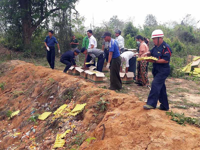 တ႐ုတ္က တင္သြင္းလာသည့္ ၾကက္ဥအလံုး ၃၀၀၀ ေက်ာ္ကို ေမာ္လူးဘူတာတြင္ ဖ်က္ဆီး