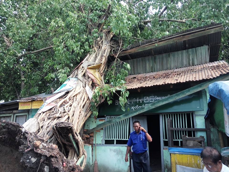 အုတ္တြင္းၿမိဳ႕တြင္ ေလျပင္းတိုက္ၿပီး မုိးသည္းထန္၊ သစ္ပင္ႀကီးမ်ား ၿပိဳလဲ (ဓာတ္ပုံ)