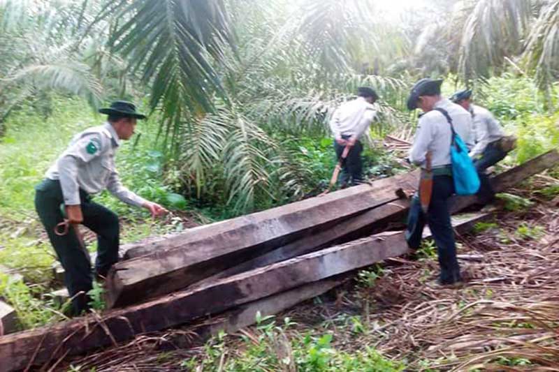 ခေမာက္ႀကီးၿမိဳ႕တြင္ ပိုင္ရွင္မဲ့ သစ္ခြဲသားမ်ား သိမ္းဆည္းရမိ