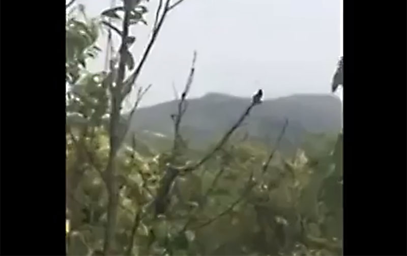 ၿငိမ္းခ်မ္းေရးညီလာခံက်င္းပေနစဥ္ ကိုးကန္႔ေဒသတြင္ တိုက္ပြဲျဖစ္ပြား (႐ုပ္သံ)