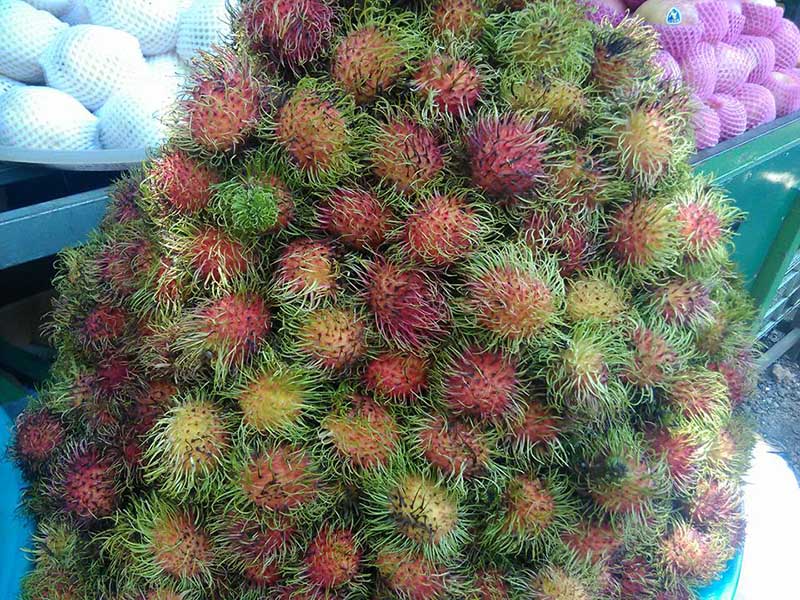 ေရးၿမိဳ႕နယ္တြင္ အပူဒဏ္ေၾကာင့္ ရာသီေပၚသီးႏွံအထြက္က်ဆင္း