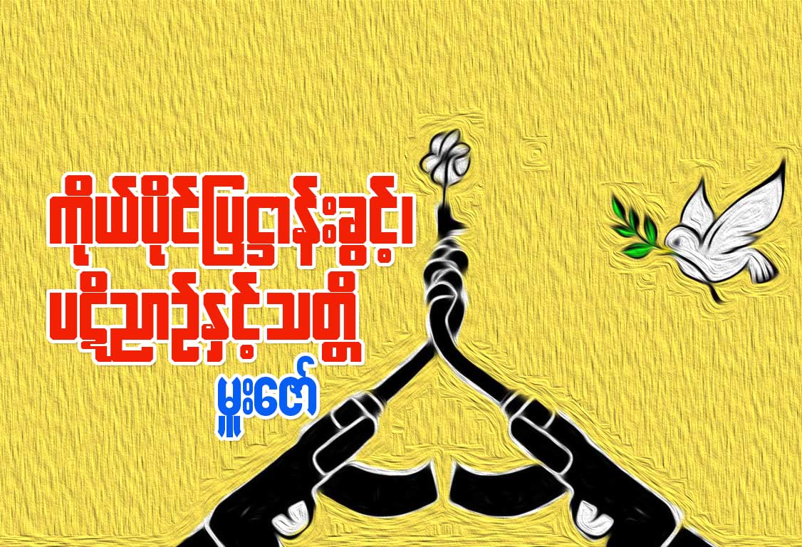 ကိုယ္ပိုင္ျပ႒ာန္းခြင့္၊ ပဋိညာဥ္ႏွင့္ သတၱိ