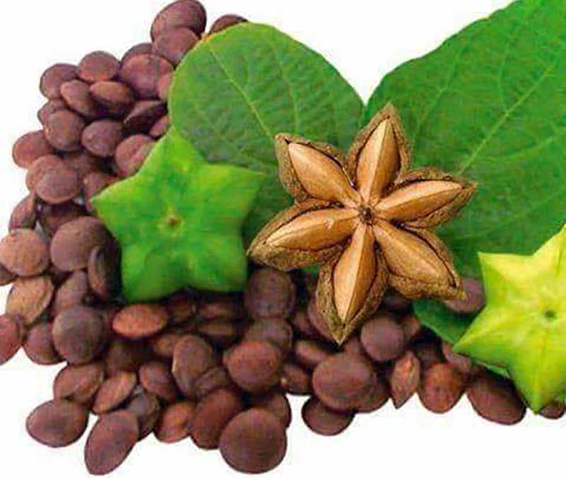ၾကယ္ပဲ ထုတ္လုပ္ေရာင္းခ်မႈအား ျပန္လည္သံုးသပ္ရန္ ဦးၿဖိဳးမင္းသိန္းေျပာ
