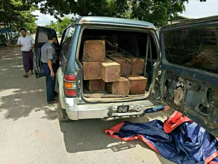 ဗန္းေမာက္ၿမိဳ႕နယ္တြင္ တရားမဝင္သစ္မ်ား သယ္ေဆာင္လာသည့္ ပါဂ်ဲ႐ိုးကား ဖမ္းမိ