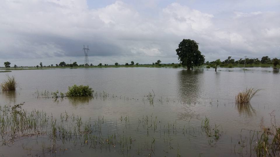 ေညာင္ေလးပင္ၿမိဳ႕နယ္တြင္ ေရႀကီးေရလ်ွံမႈေၾကာင့္ လယ္ဧက ၁၉၀၅၁ ဧကေရနစ္ျမဳပ္