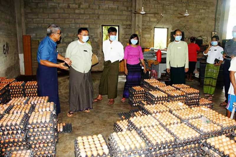 ေကာ့ေသာင္းတြင္ H1N1 ႏွင့္ H5N1ေရာဂါ ႀကိဳတင္ကာကြယ္ေရး ပညာေပး