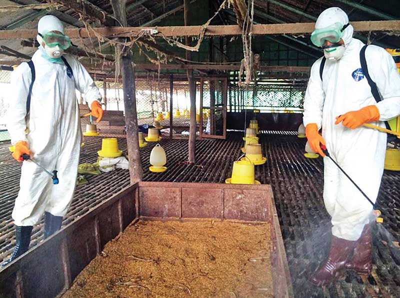 တနသၤာရီတိုင္း ၿမိဳ႕နယ္ ၈ ခုတြင္ ၾကက္၊ ဘဲ ႏွင့္ဆပ္စပ္ပစၥည္းမ်ား ေရာင္းဝယ္တင္ပို႔မႈ ပိတ္ပင္