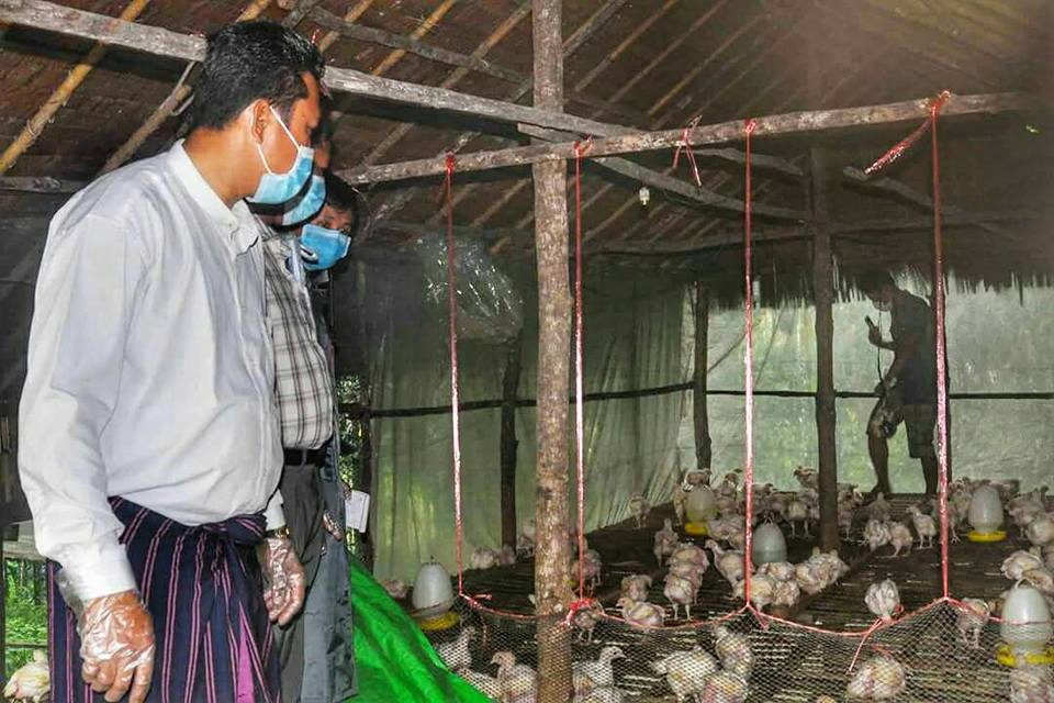 ၿမိတ္ ၾကက္ၿခံတခုတြင္ ၾကက္ ၅၀၀ ေက်ာ္ေသဆံုး၊ ၾကက္ၿခံပိုင္ရွင္သား ေဆး႐ုံတင္ထားရ