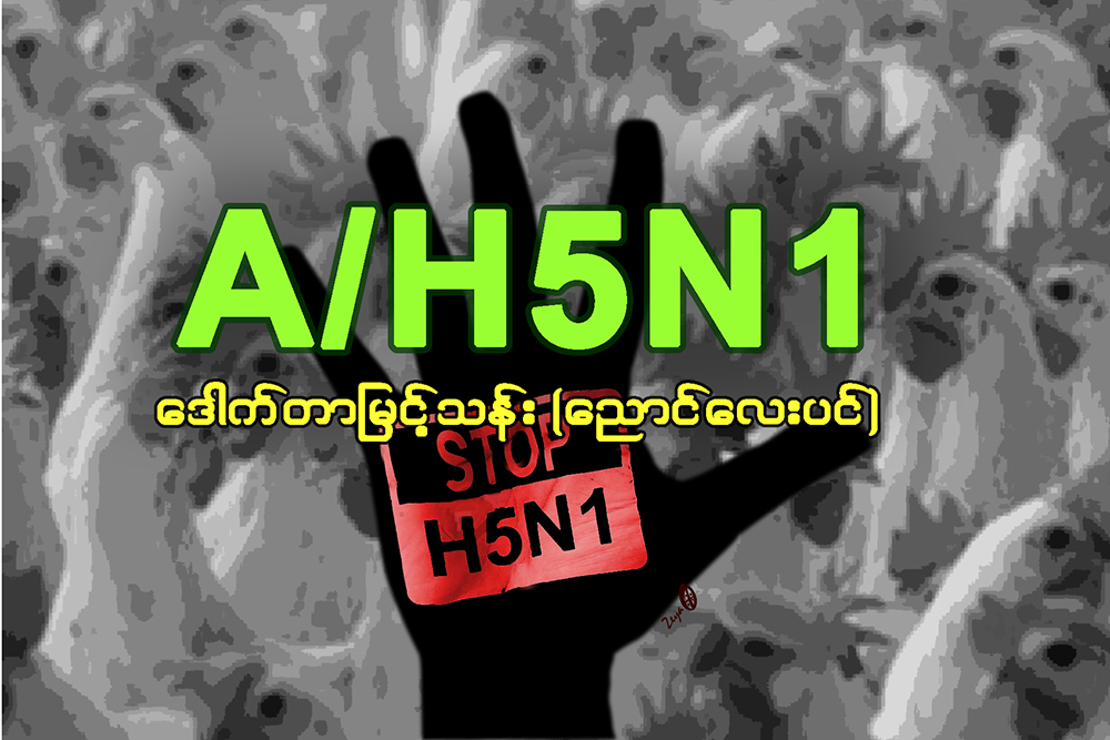 A/H5N1