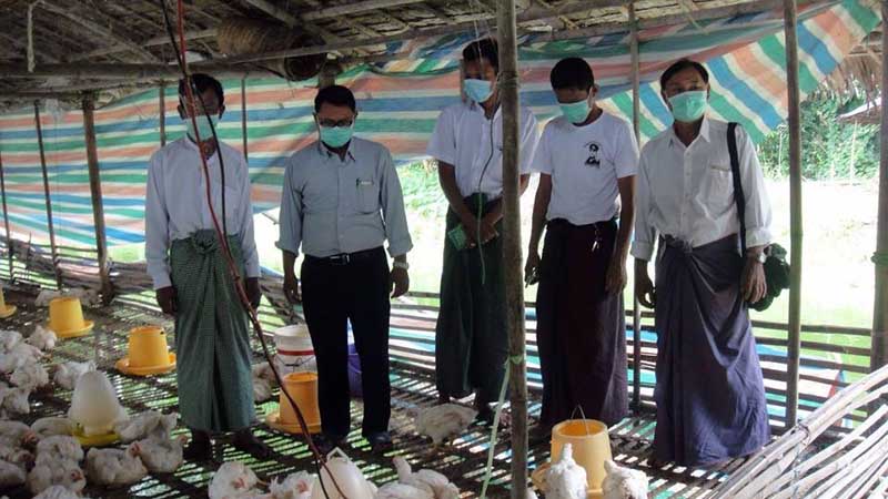 အေဖ်ာက္တြင္ H5N1 ႀကိဳတင္​ကာကြယ္ေရး ၾကက္​ၿခံမ်ားအား ကြင္​းဆင္​းစစ္​​ေဆး