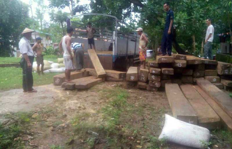 က်ိဳက္ထိုတြင္ တရားမဝင္ ပိေတာက္သစ္ခြဲသားမ်ား ဖမ္းဆီးရမိ